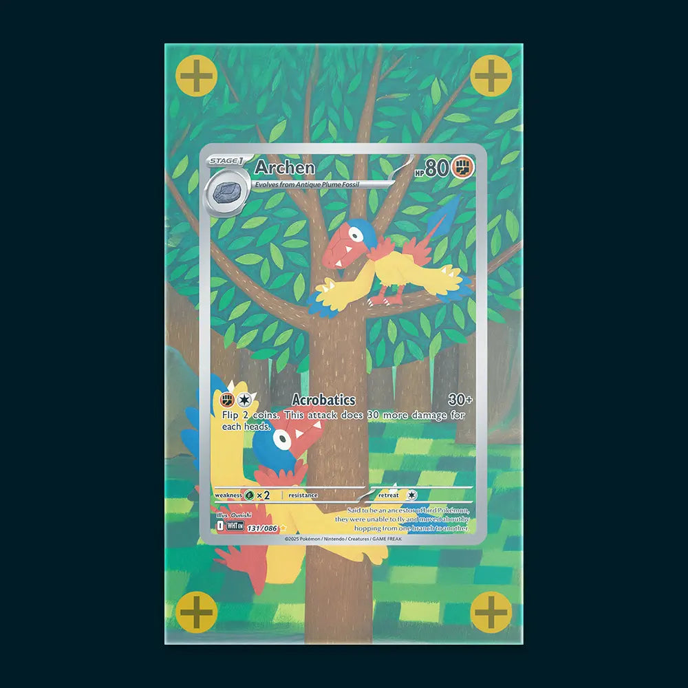 Archen - Art Display
