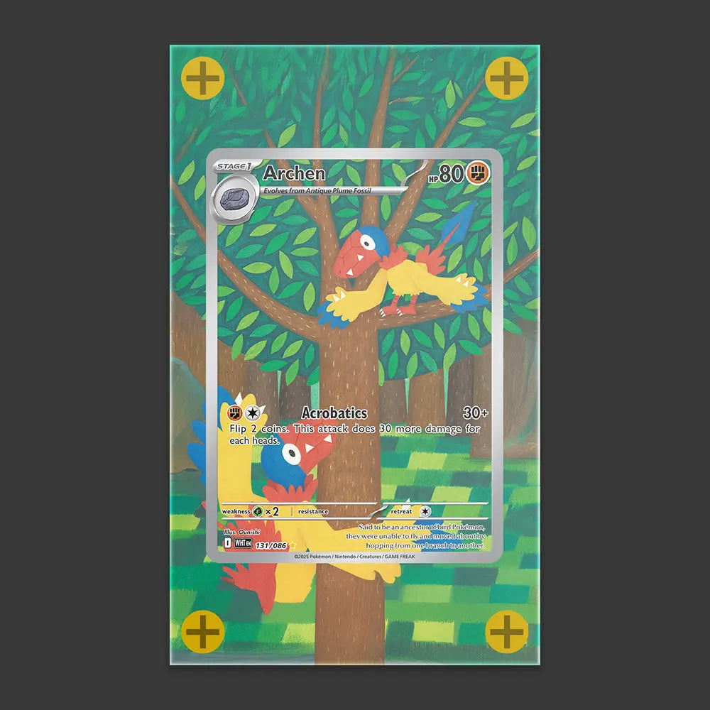 Archen - Art Display