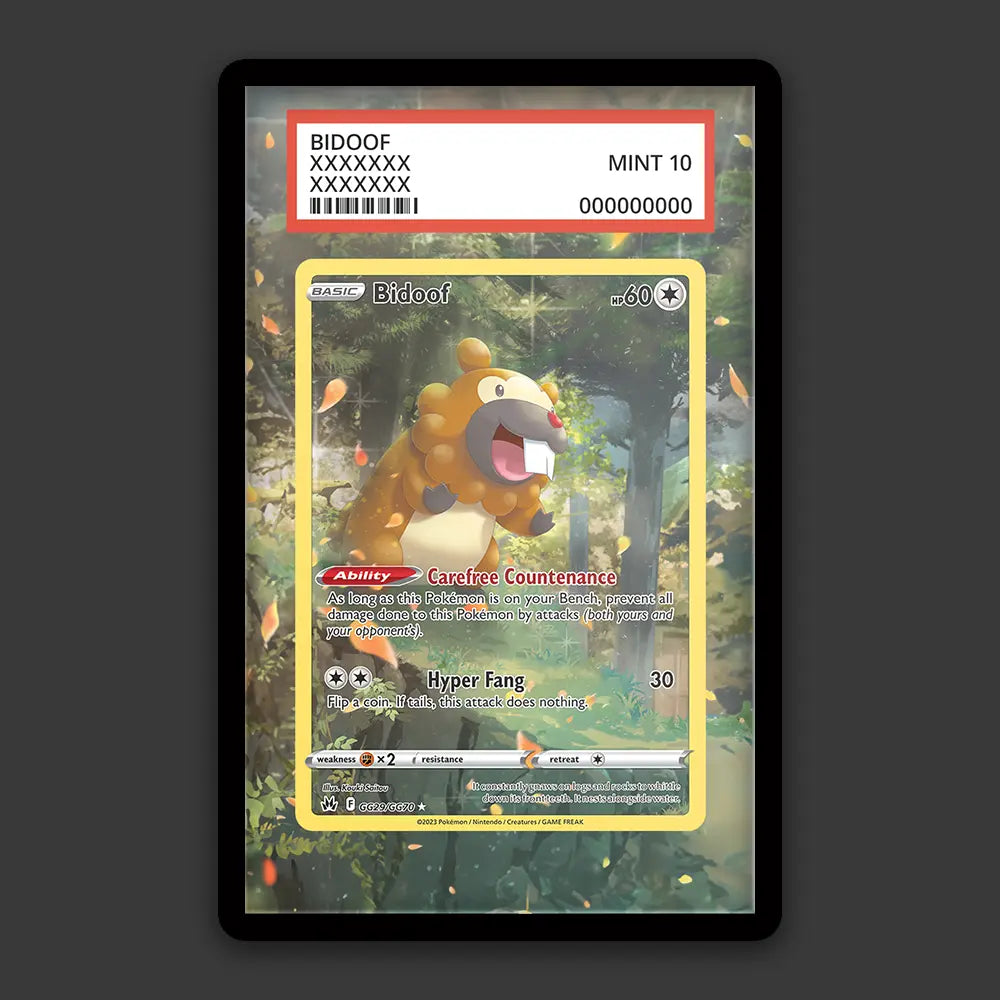 Bidoof - PSA Graded Display