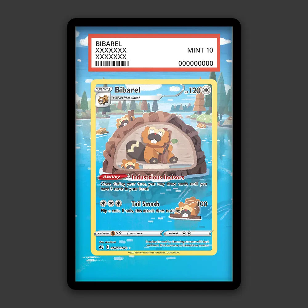 Bibarel - PSA Graded Display