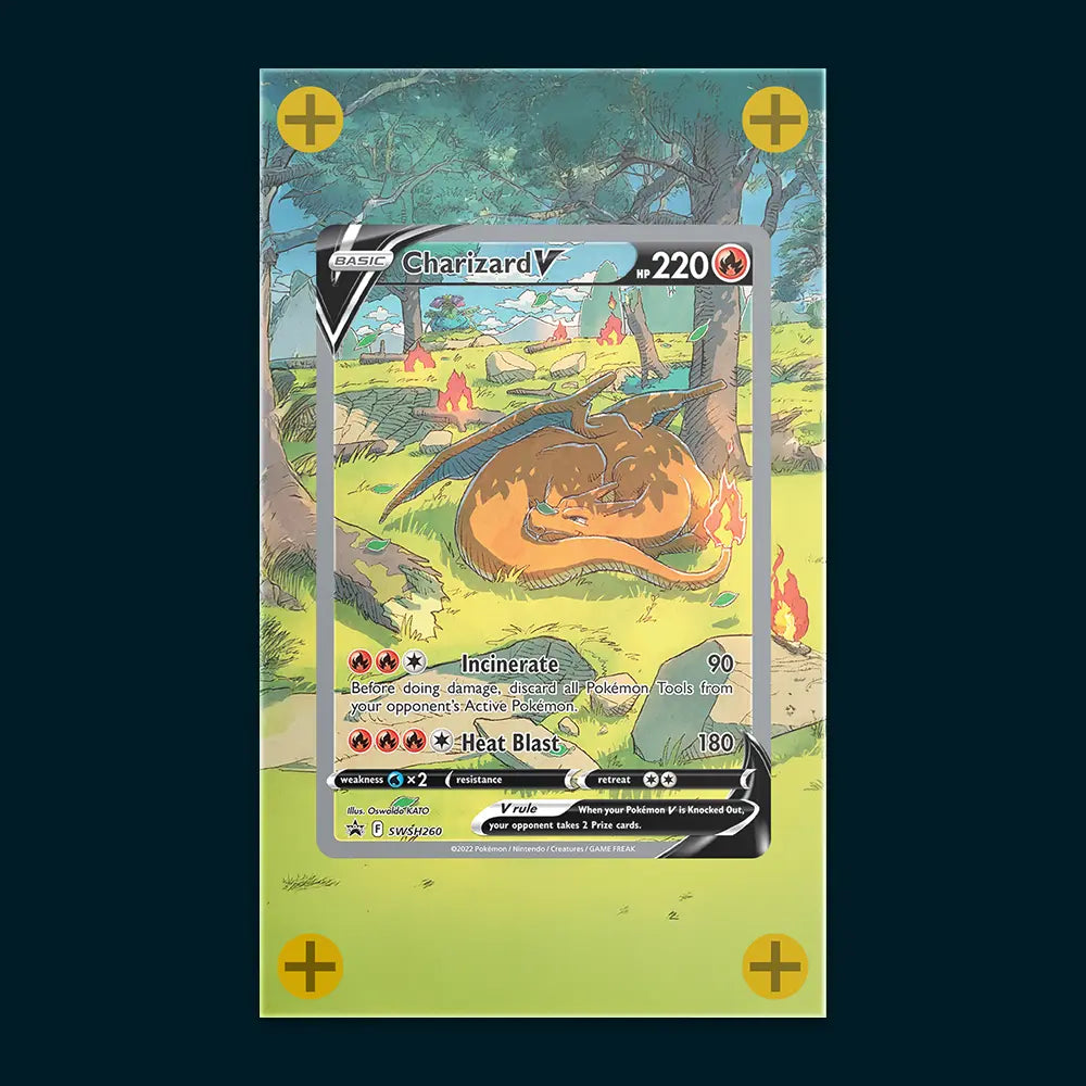 Charizard V - Art Display