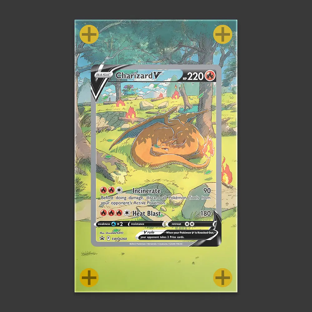 Charizard V - Art Display