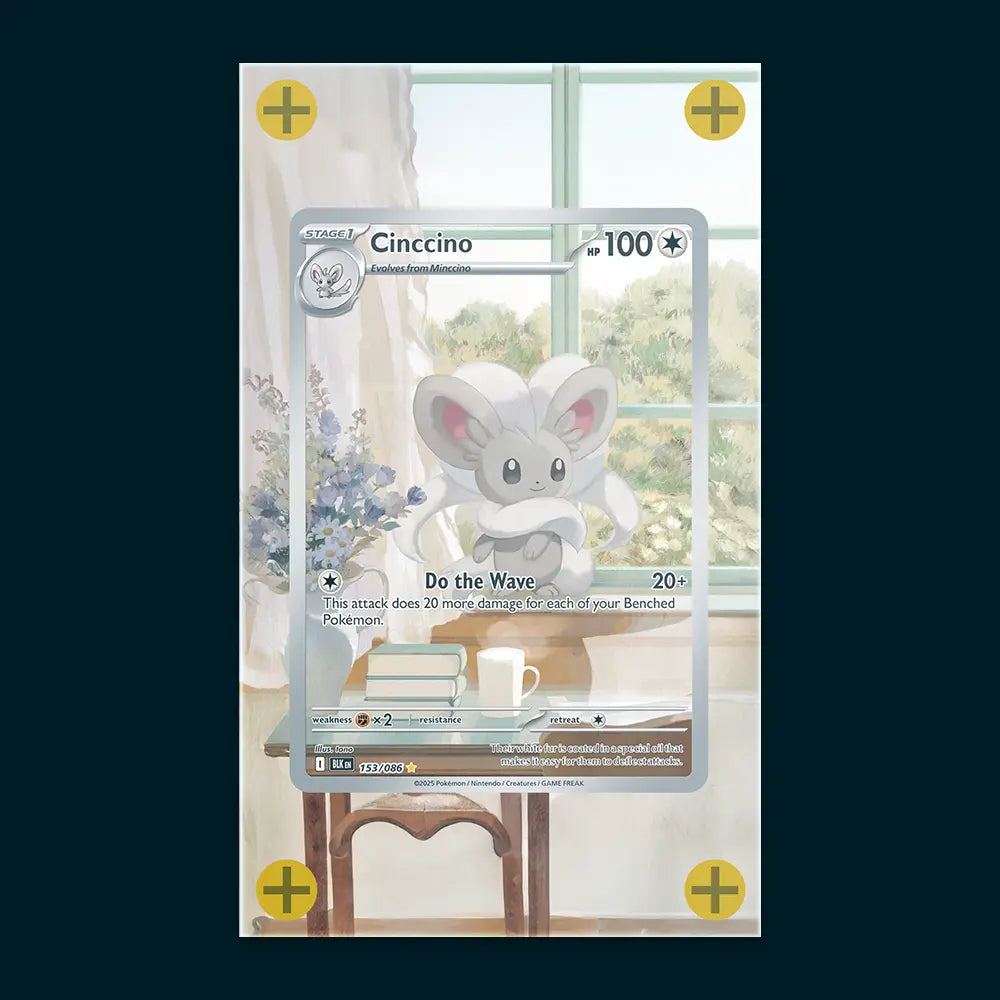 Cinncino - Art Display