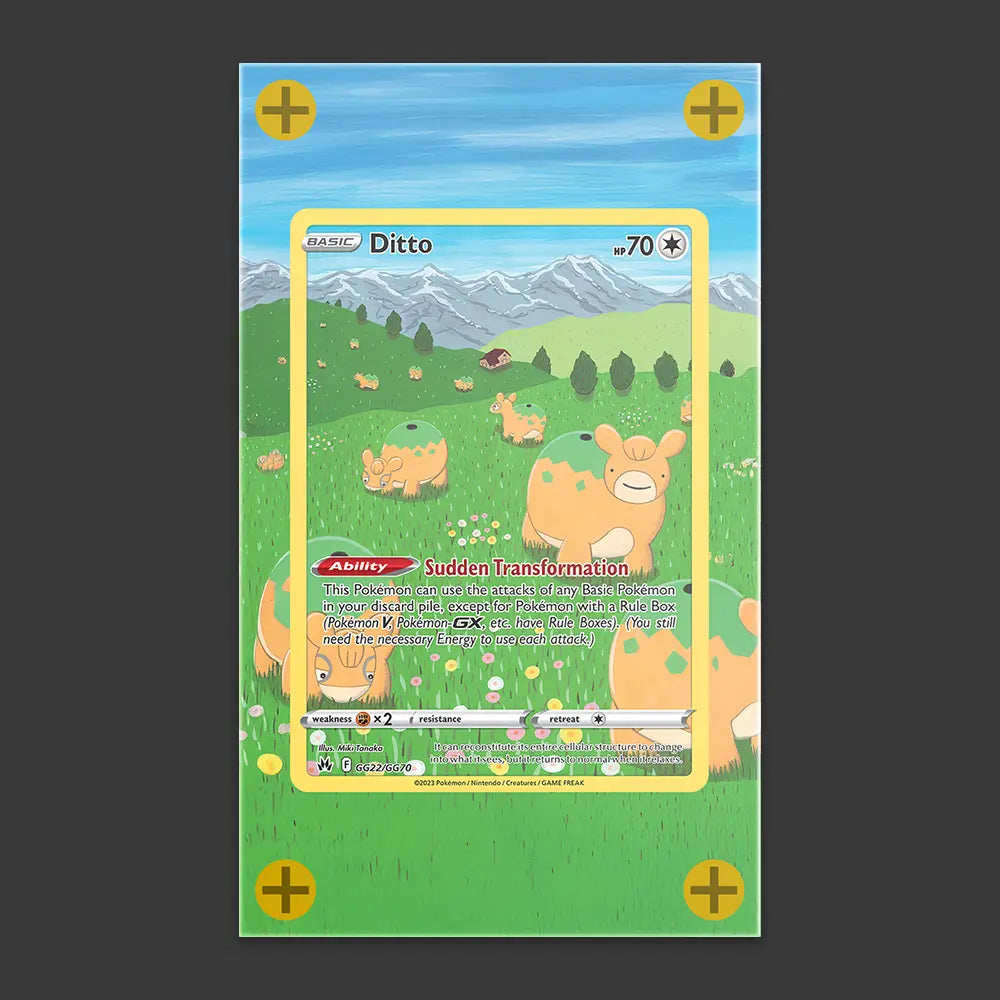 Ditto - Art Display