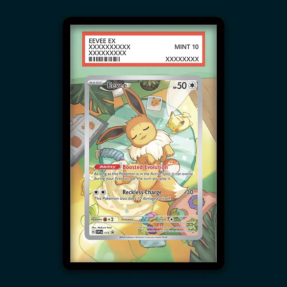 Eevee - PSA Graded Display