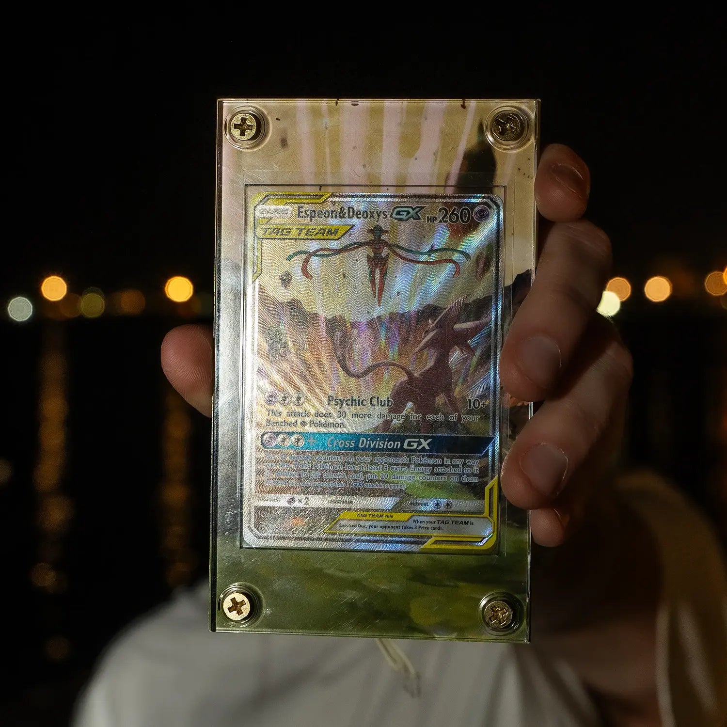 Mega Meganium EX - Art Display