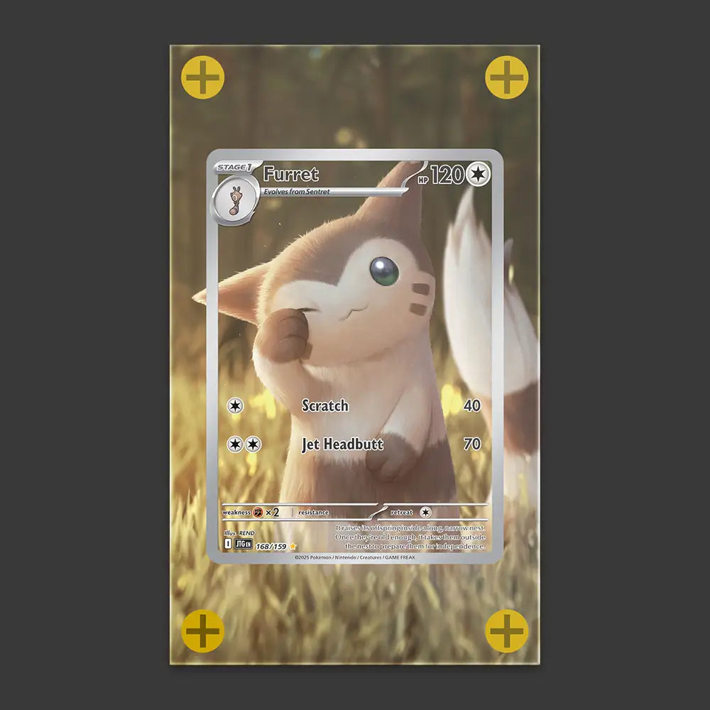Furret - Art Display