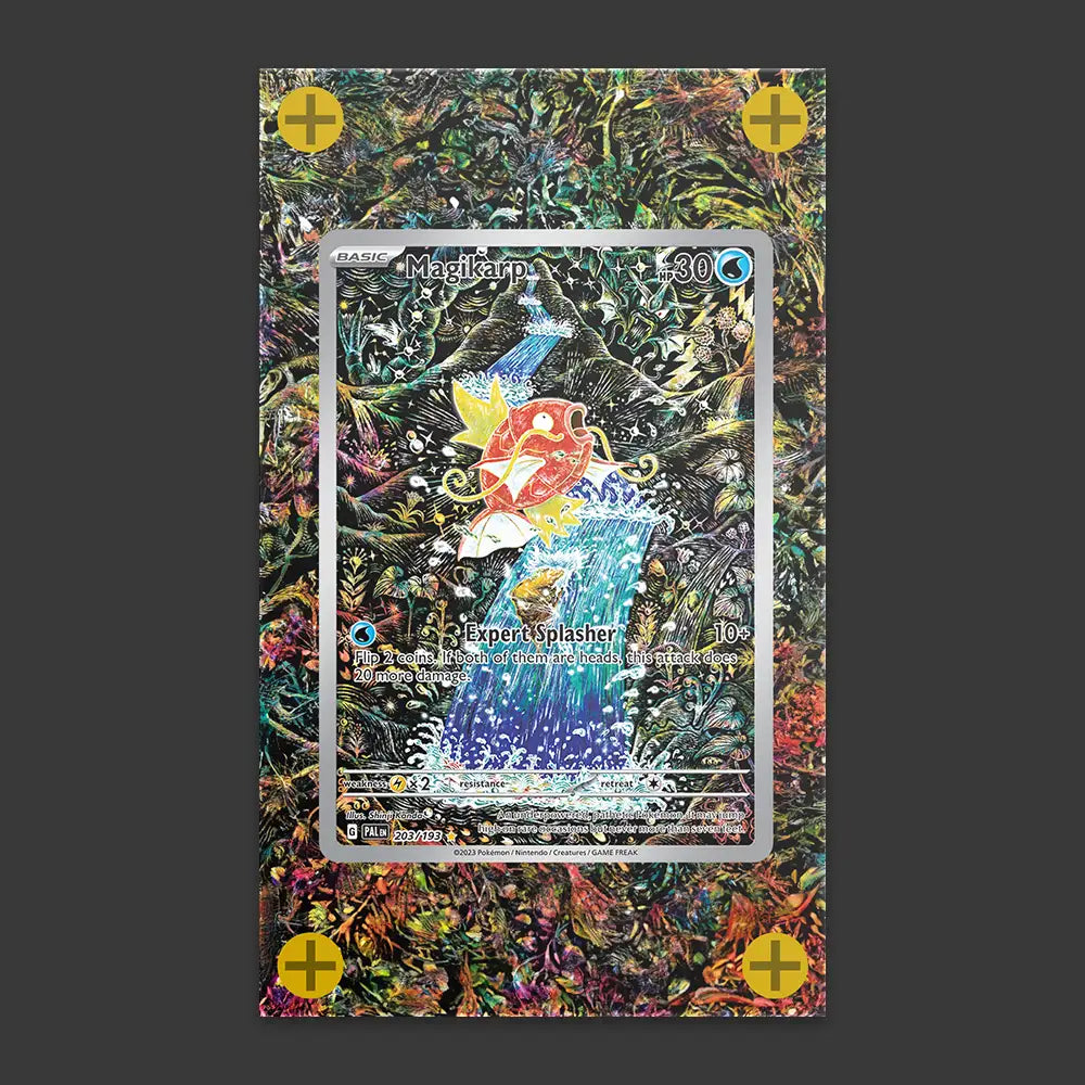 Magikarp - Art Display