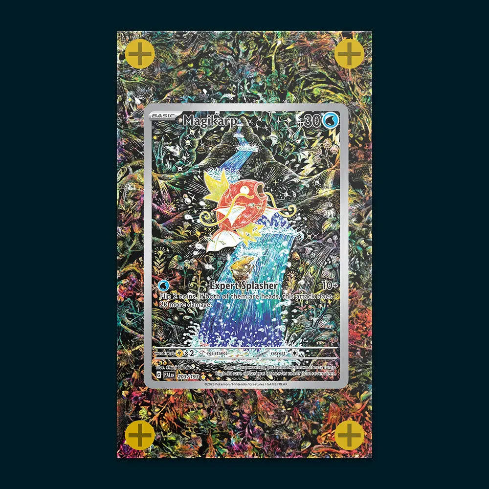 Magikarp - Art Display