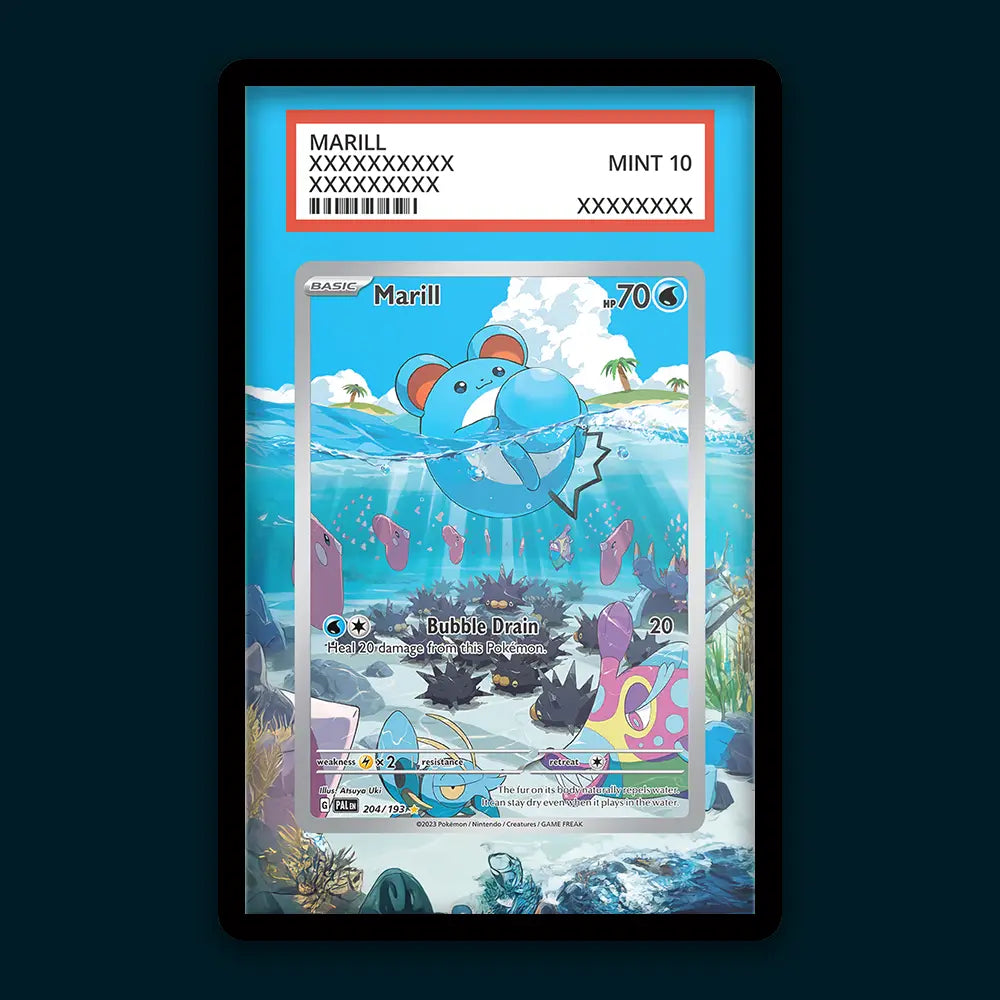 Marill - PSA Graded Display