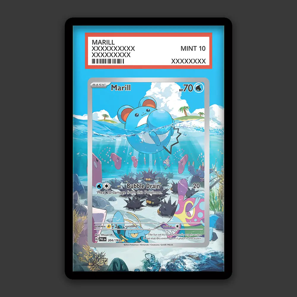 Marill - PSA Graded Display