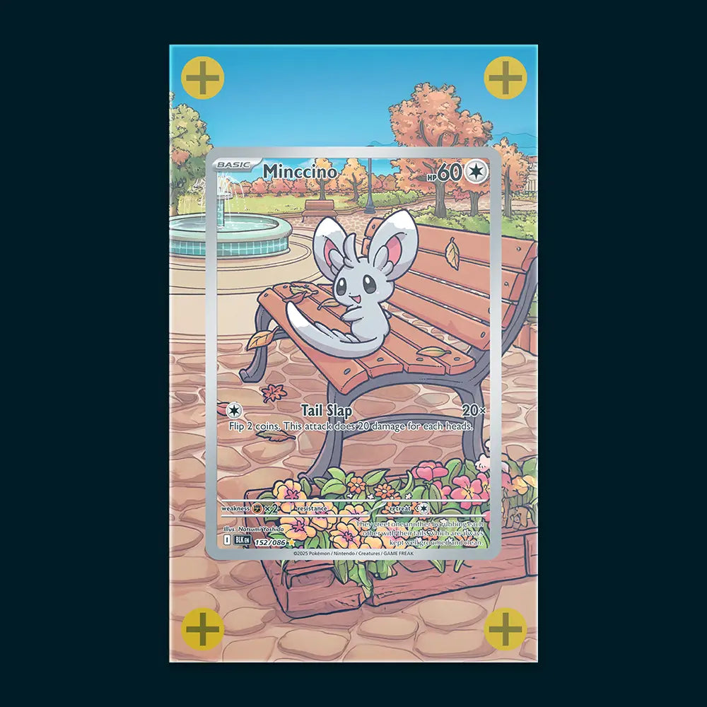 Minccino - Art Display