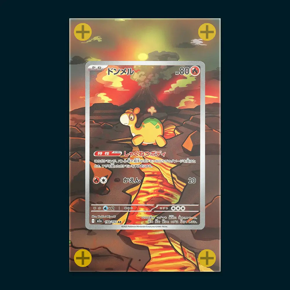Numel - Art Display