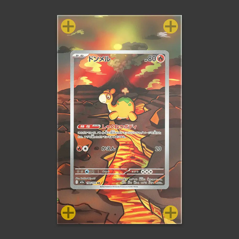 Numel - Art Display