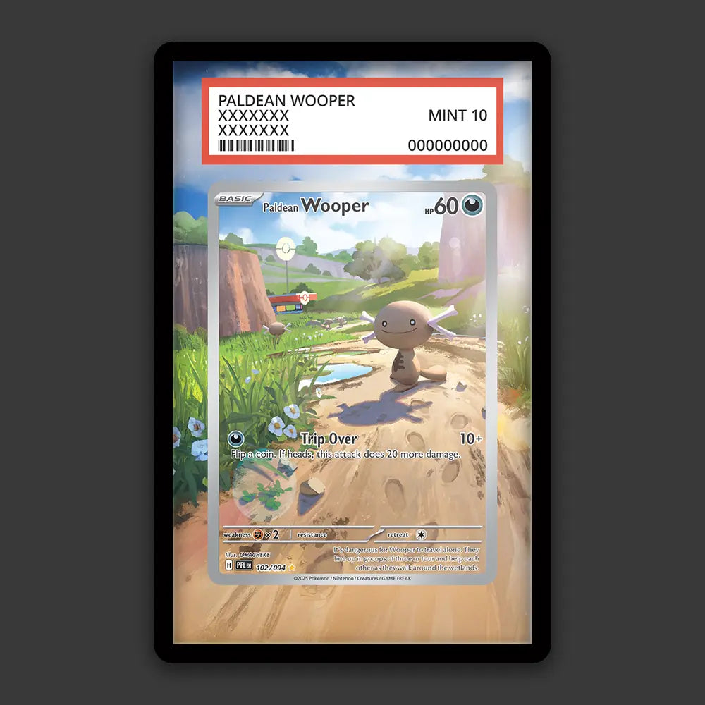 Paldean Wooper - PSA Graded Display