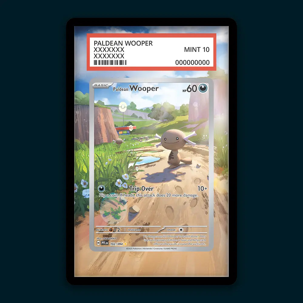 Paldean Wooper - PSA Graded Display
