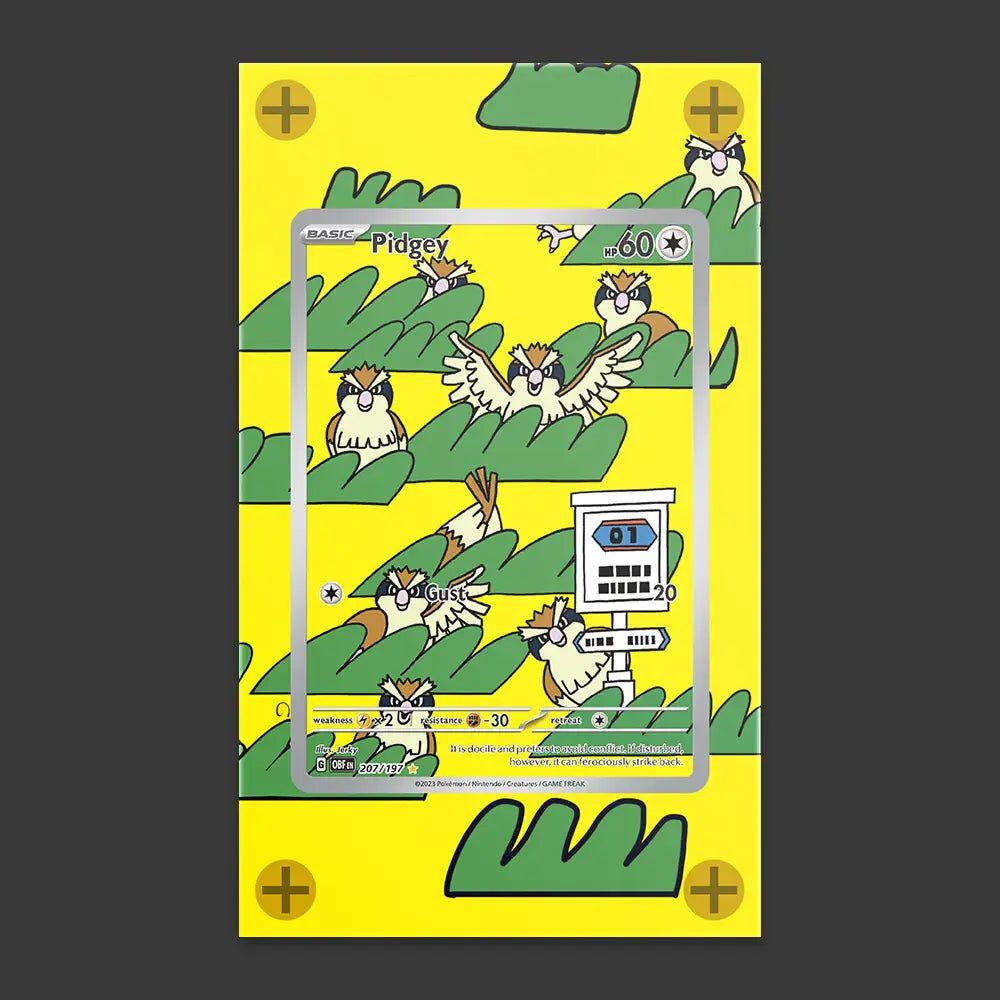 Pidgey - Art Display