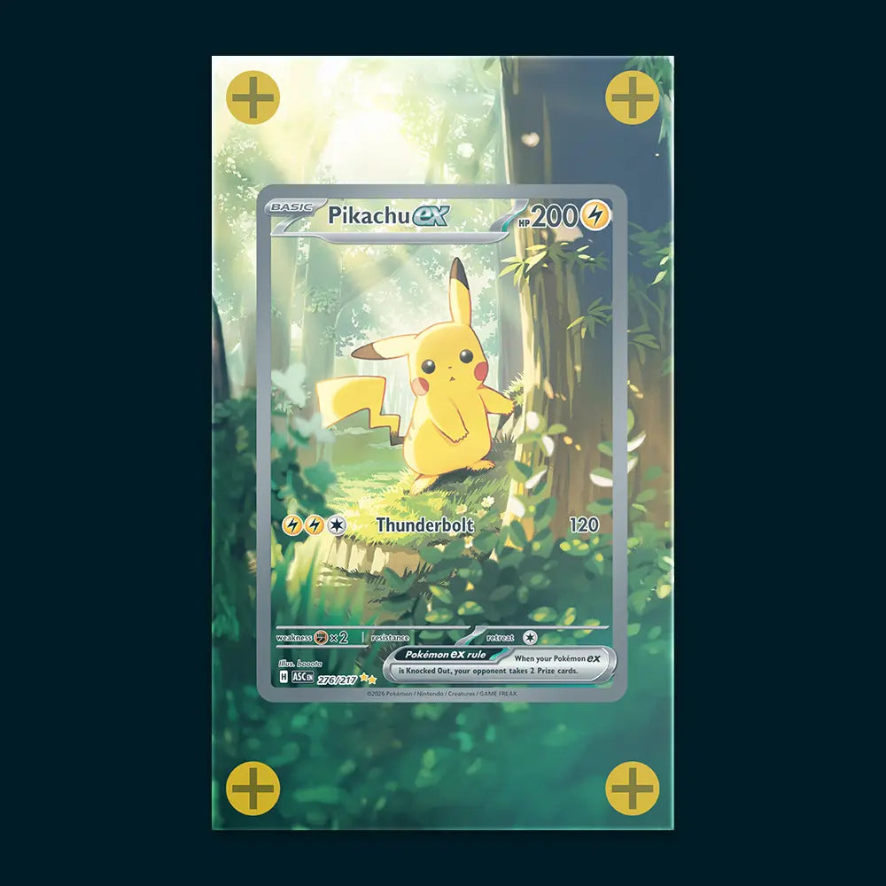Pikachu EX - Art Display