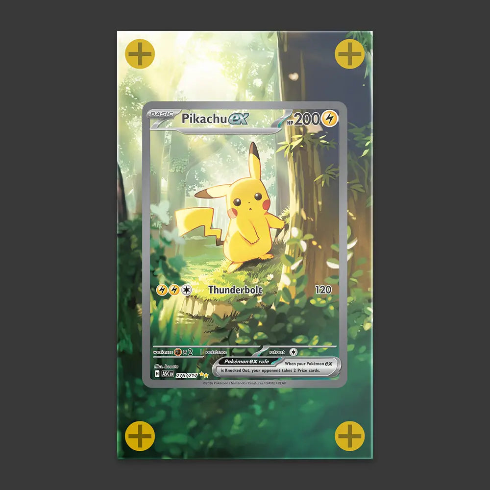 Pikachu EX - Art Display