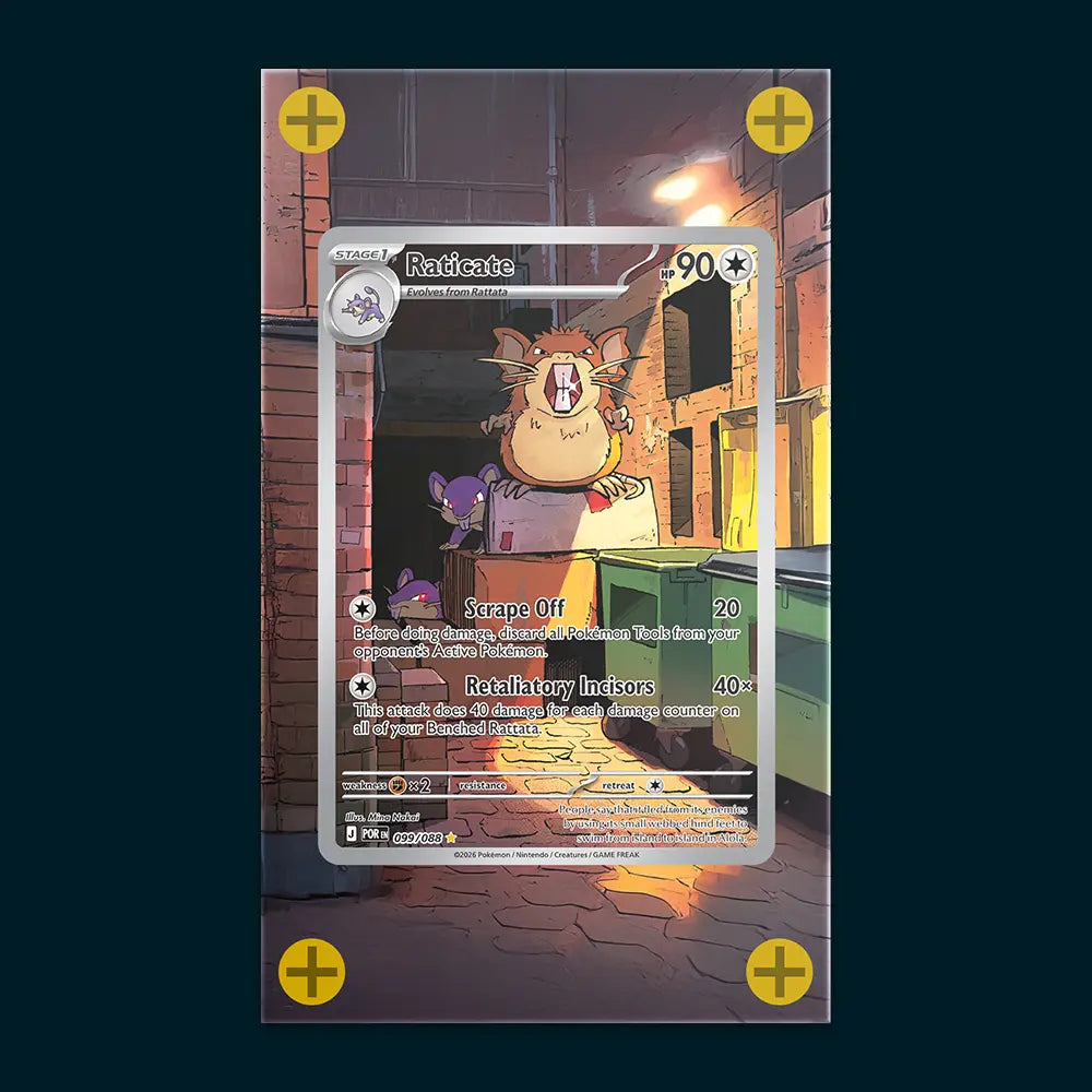 Raticate - Art Display