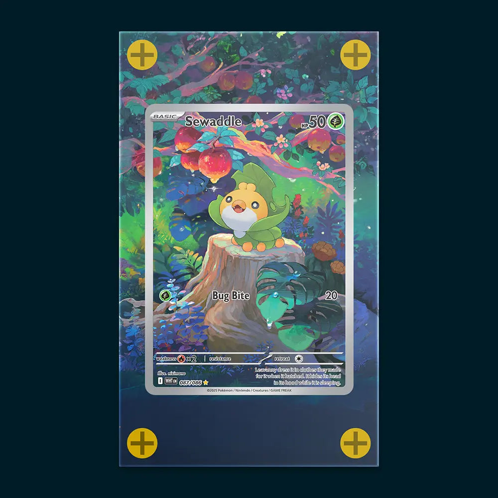 Sewaddle - Art Display