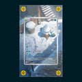 Snover - Art Display