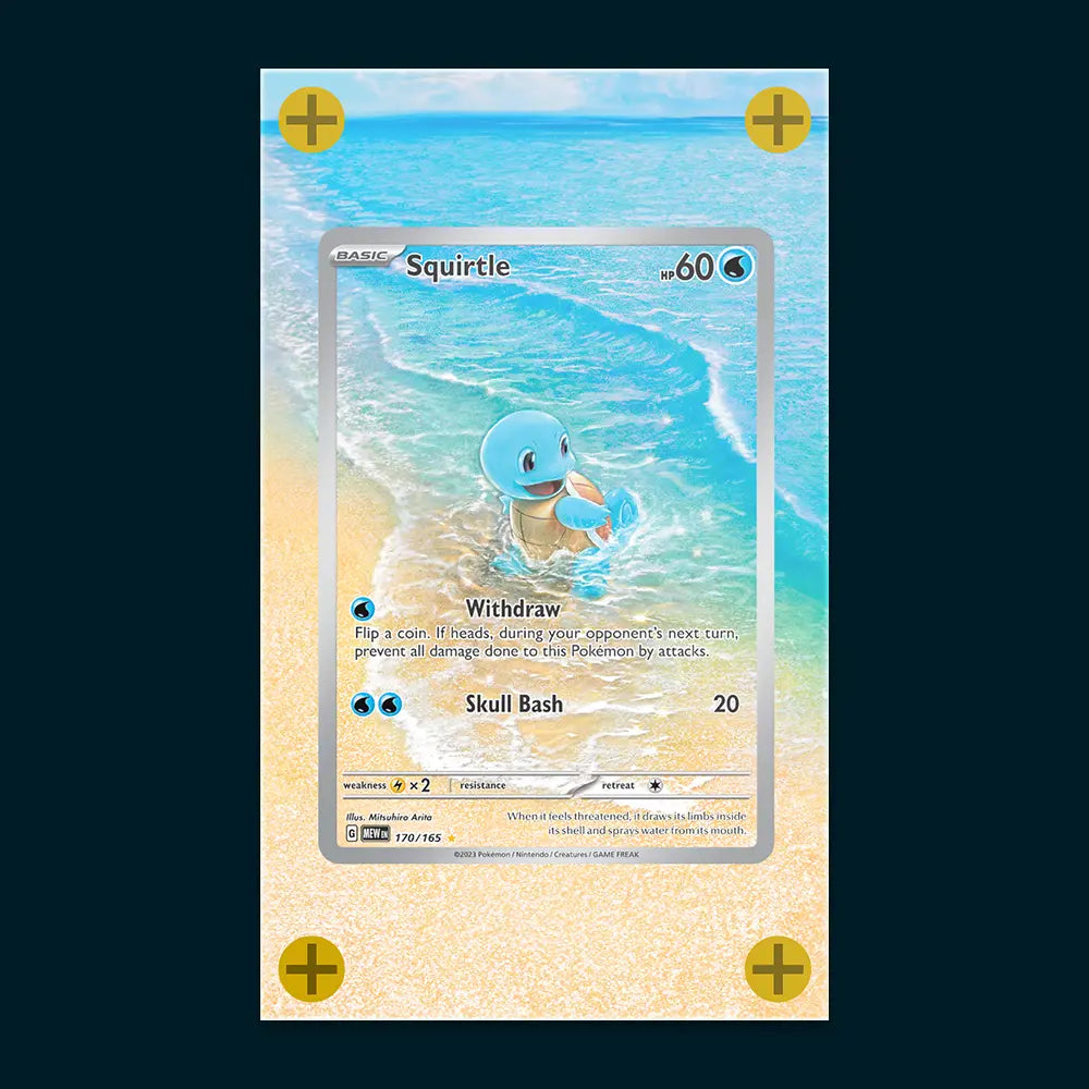 Squirtle - Art Display