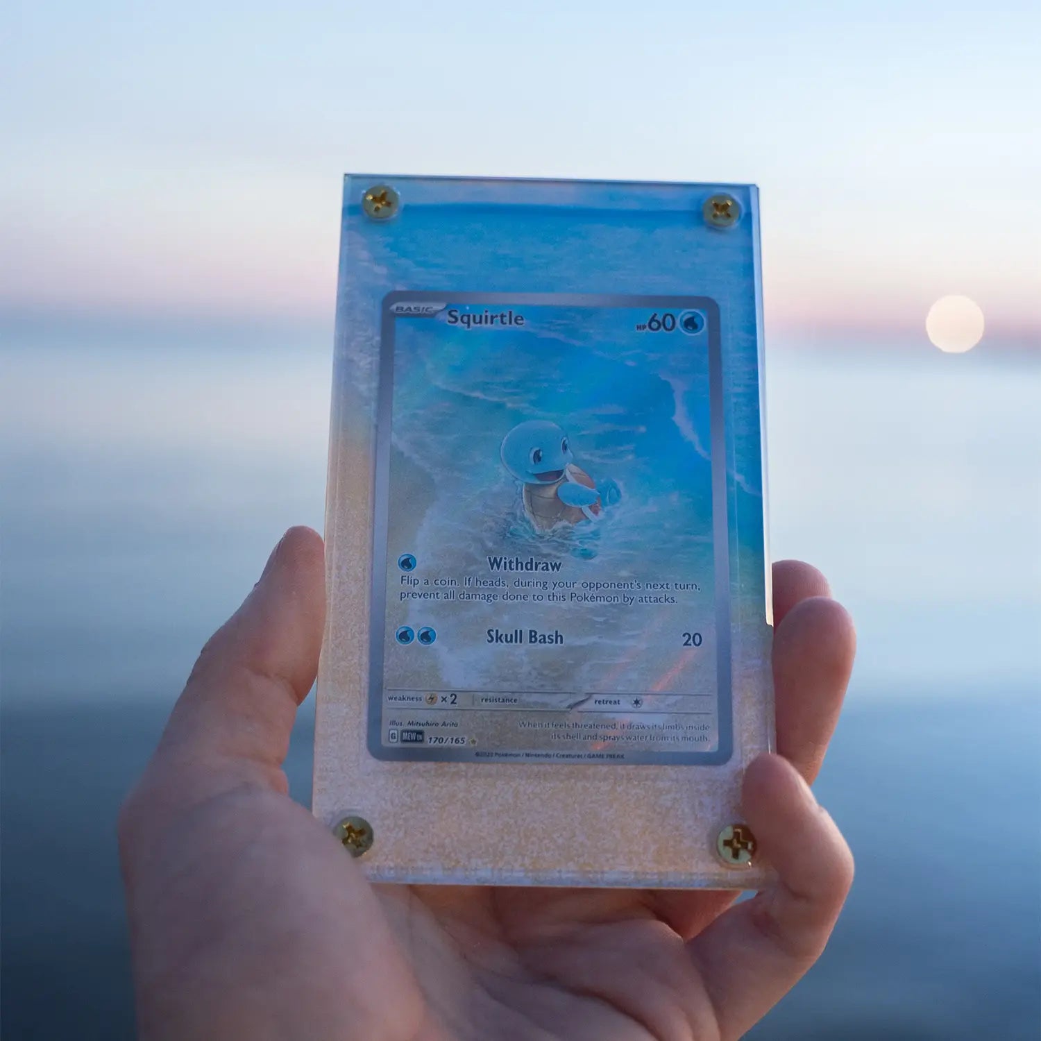 Mega Meganium EX - Art Display