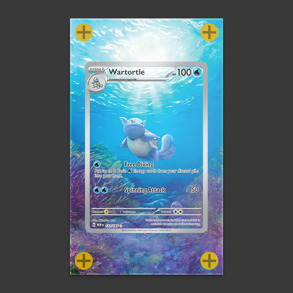 Wartortle - Art Display