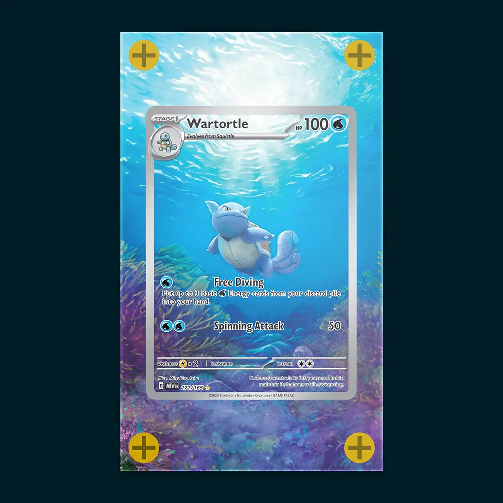 Wartortle - Art Display