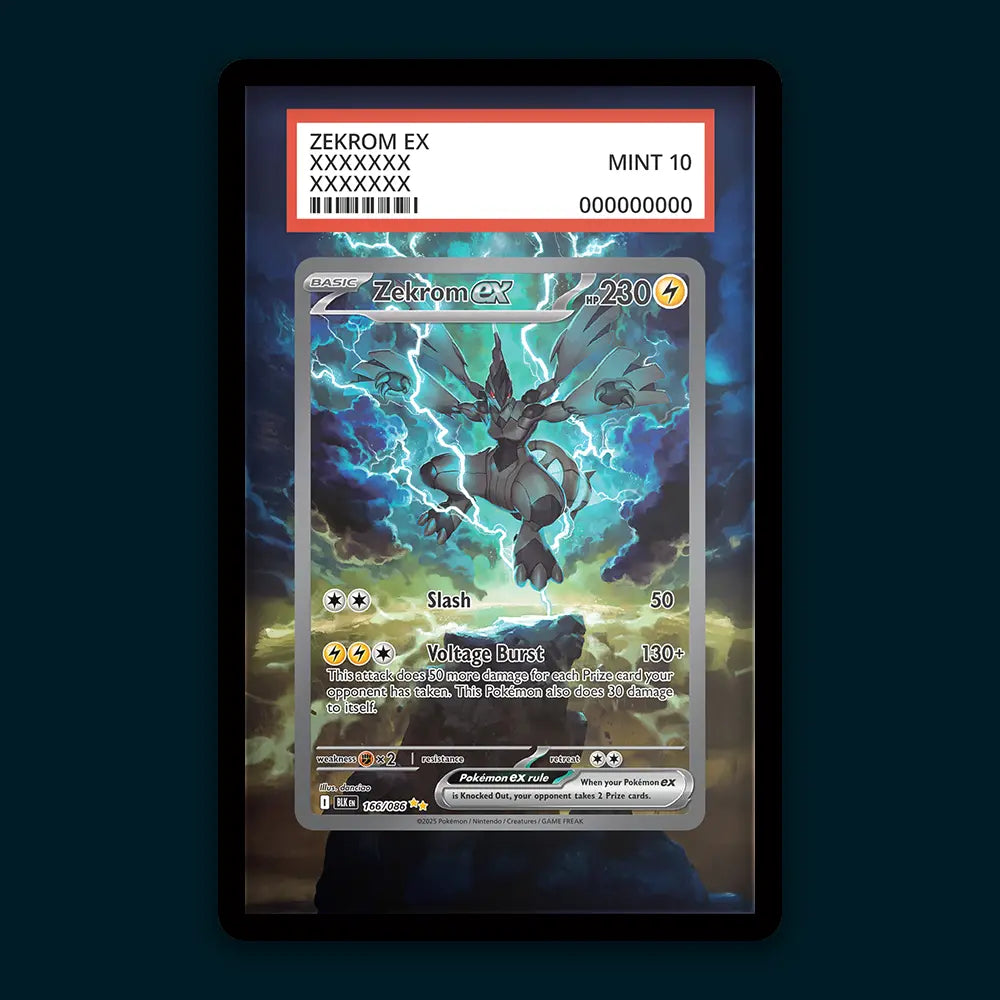 Zekrom EX - PSA Graded Display