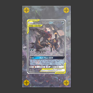 Umbreon & Darkrai - Tag Team Art Frame