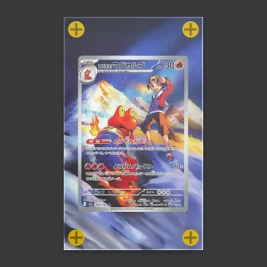 Ethan's Magcargo - Art Display